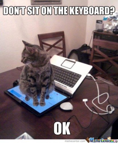 Computer cat meme Chrome OS.