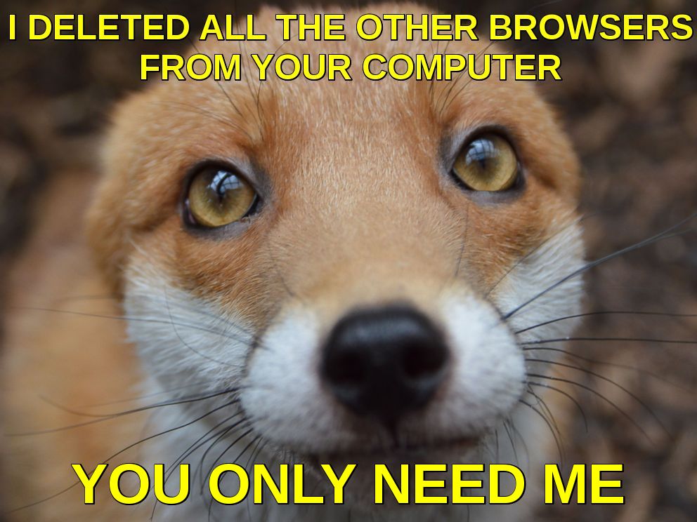 mozilla firefox web browsers chromebook