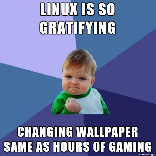 Linux meme.