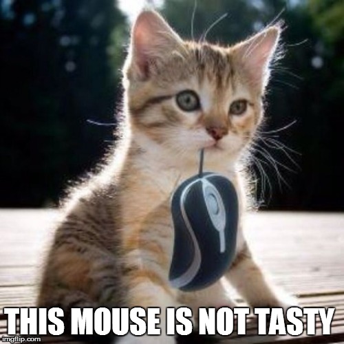 Mouse not tasty meme.